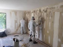 Best Mold Removal for HVAC Installations  in Isanti, MN